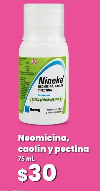 Nineka Neomicina, caolín y pectina 75 mL