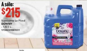 City Club Suavizante Le Floral DOWNY 1/8.5L oferta