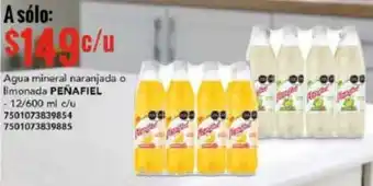 City Club Agua mineral naranjada o limonada PEÑAFIEL 12/600ML oferta