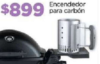 Encendedor para carbón