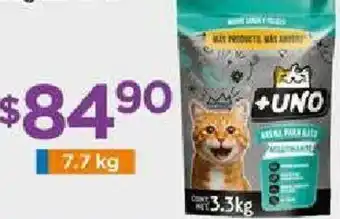 Chedraui Arena para gato aglutinante 7.7KG oferta