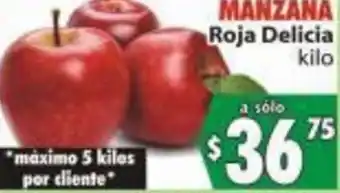 MANZANA Roja Delicia kilo