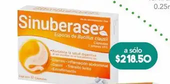 Farmacia San Pablo Sinuberase cap esporas bacillus c/12pz oferta