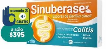 Farmacia San Pablo Sinuberase colitis ams 5ml caj c/20 oferta