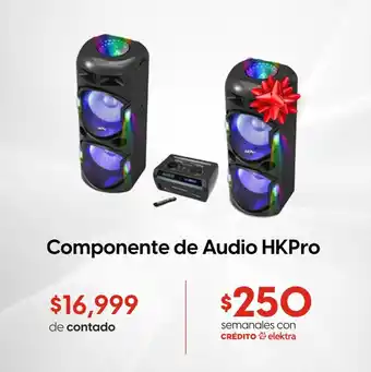 Componente de Audio HKPro