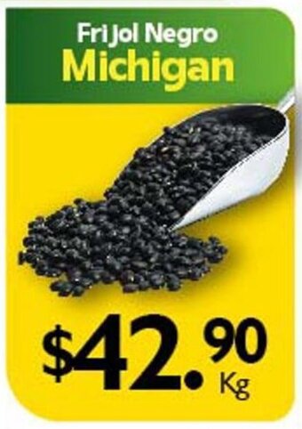 Frijol Negro Michigan x kg