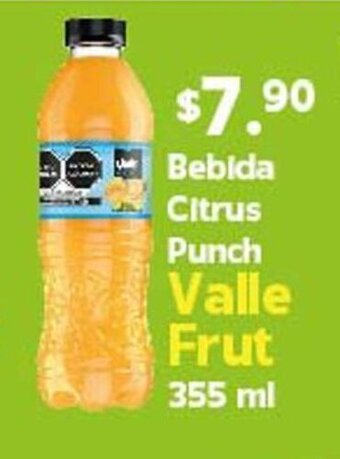 Arteli express Bebida Citrus Punch Valle Frut 355 ml oferta