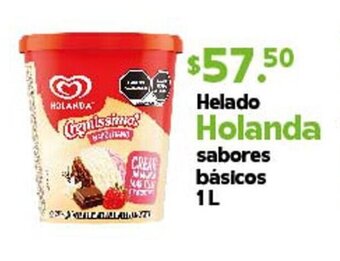 Arteli express Helado Holanda sabores básicos 1L oferta