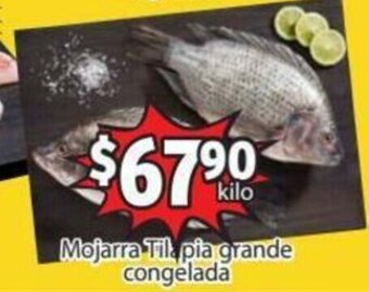 Mojarra Tilapia Grande Congelada