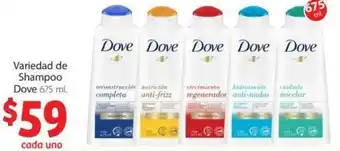 Variedad De Shampoo Dove 675ml