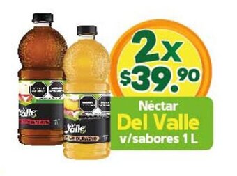 Néctar Del Valle v/sabores 1L x 2