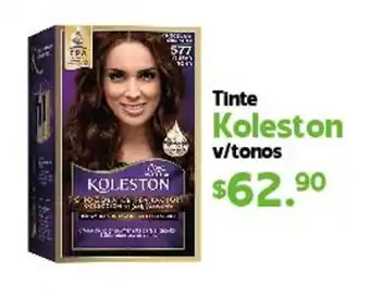 Tinte Koleston v/tonos