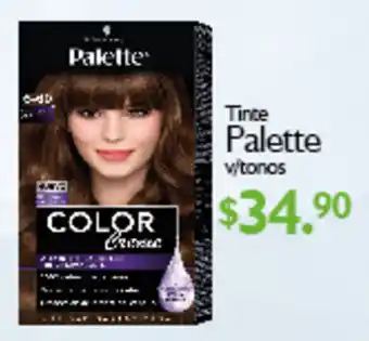 Palette