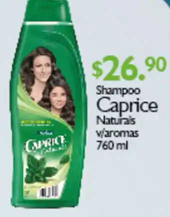 Arteli Caprice 760ml oferta