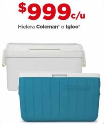 Hielera Coleman o Igloo