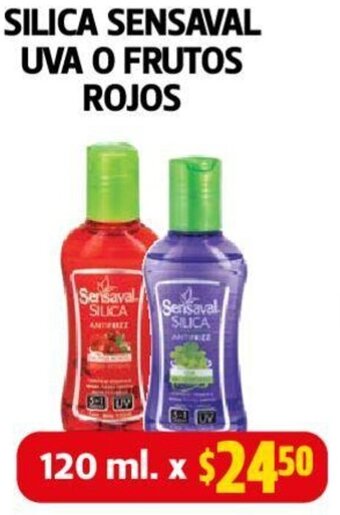 Farmacias Guadalajara SILICA SENSAVAL UVA O FRUTOS ROJOS 120ml oferta