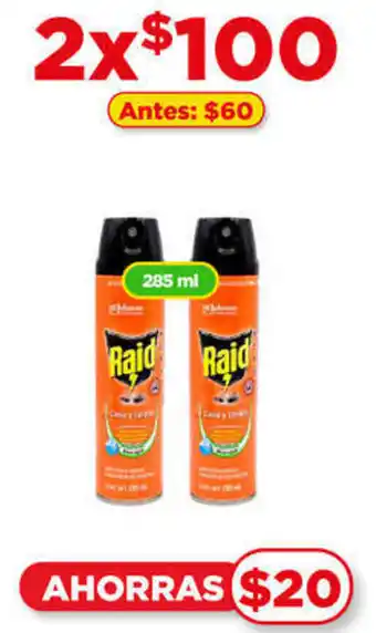 Raid 285ml