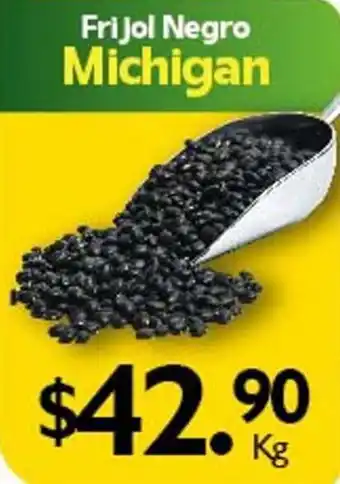 Arteli express Frijol Negro Michigan x kg oferta