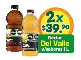 Néctar Del Valle v/sabores 1L x 2