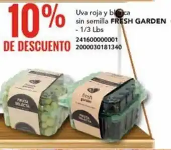 Uva roja y bloca sin semilla FRESH GARDEN - 1/3 Lbs 241600000001