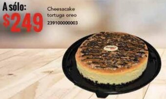 Cheesecake tortuga oreo 239100000003