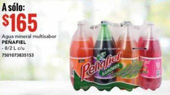City Club Agua mineral multisabor PEÑAFIEL 8/2L oferta
