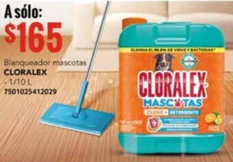 City Club Blanqueador mascotas CLORALEX 1/10L oferta