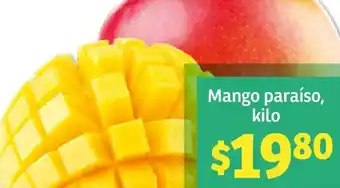 Soriana Híper Mango paraíso kilo oferta