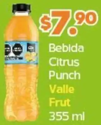 Bebida Citrus Punch Valle Frut 355ml