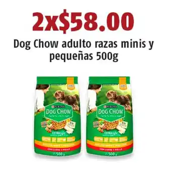 Dog Chow adulto razas minis y pequeñas 500g x 2