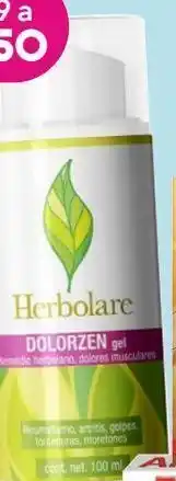 Herbolare dolorzen gel, remedio herbolario para dolores musculares 100 ml