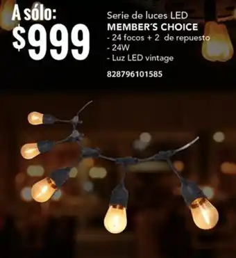 City Club Serie de luces LED MEMBER'S CHOICE - 24 focos + 2 de repuesto -24W - Luz LED vintage oferta