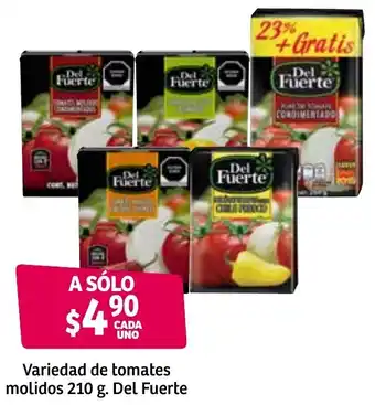 Variedad de Tomates Molidos 210g