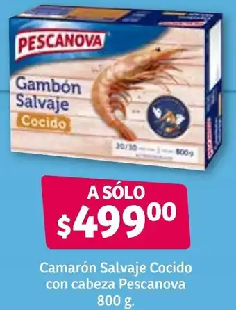 Camarón Dalvaje Cocido con Cabeza Pescanova 800g