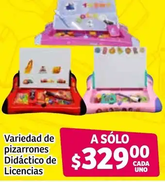 Vareidad de Pizarrones Didáctico de Licencias