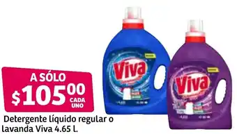 Detergente Líquido Regular o Lavanda Viva 4.65L