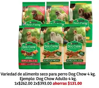Variedad de Alimento Seco para Perro Dog Chow 4kg