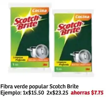 Fibra Verde Popular Scotch Brite