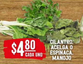 Cilantro, Acelga o Espinaca Manojo