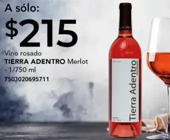 City Club Vino rosado TIERRA ADENTRO Merlot - 1/750 ml oferta