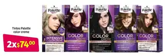 Tintes Palette Color Creme