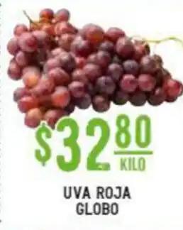 Uva Roja Globo