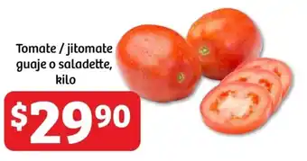 Tomate /jitomate guaje o saladette, kilo