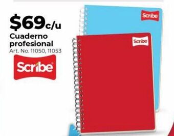 Cuaderno profesional
