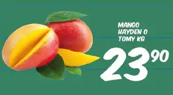 Mango Hayden O Tomy kg