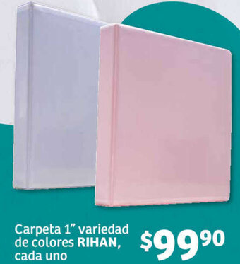 Carpeta 1" variedad de colores RIHAN, cada uno