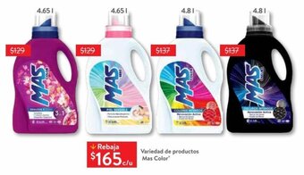 Variedad de productos Mas Color