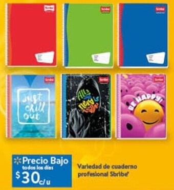 Variedad de cuaderno profesional Sbribe