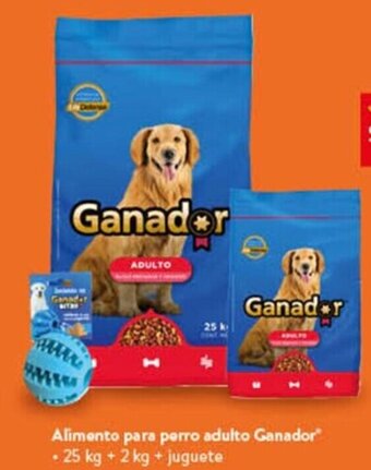 Walmart Alimento para perro adulto Ganador • 25 kg + 2 kg + juguete oferta
