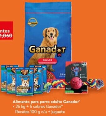 Walmart Alimento para perro adulto Ganador - 25 kg + 5 sobres Ganador oferta